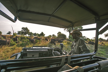 Duba Explorers Camp: Blick aus dem Fahrzeug