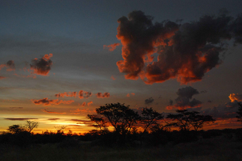 Kalahari Bushbreaks: Abendhimmel