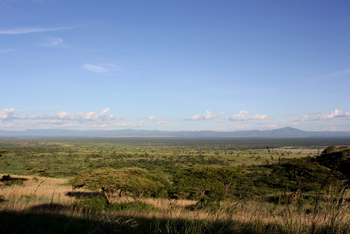 Kasenyi Safari Camp: Savannenlandschaft