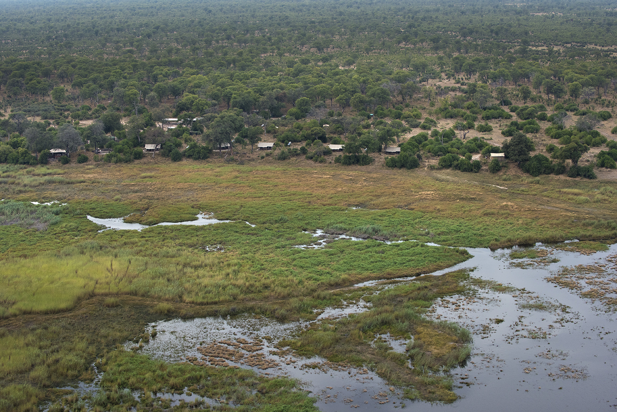 Linyanti Bush Camp