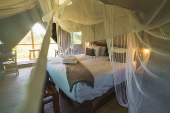 Mogogelo Camp Mogogelo Camp: Gästezelt - Innenansicht