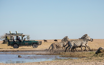 Camp Kalahari Camp Kalahari: Game Drive