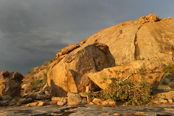 Ondudu Safari Lodgeerness Lodge Ondudu Safari Lodgeerness Lodge: Blanker Granit
