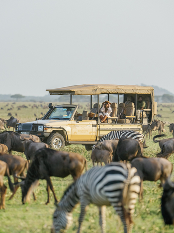 Serengeti Bushtops: Inmitten der Tiere