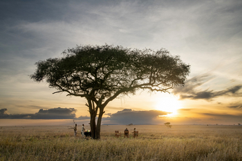 Serengeti Sametu Camp: Sonnenuntergang