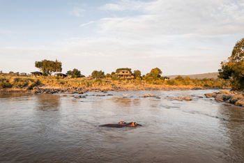 Serians Kimya Kimya: Hippos im Fluss