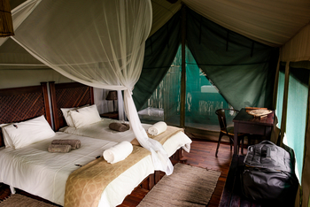 Taranga Safari Lodge: Moskitonetz über dem Bett