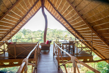 Tongole Wilderness Lodge: Aussichtsplattform