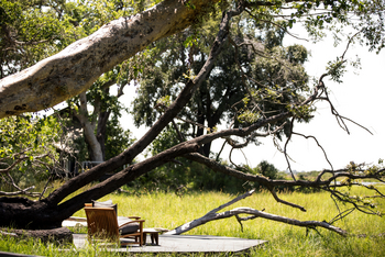 Abu Camp Abu Camp: Sit-out