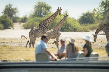 Chobe Savanna Lodge: Fluss-Safari