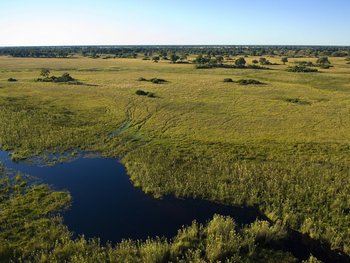 Duba Plains Camp: Lagune