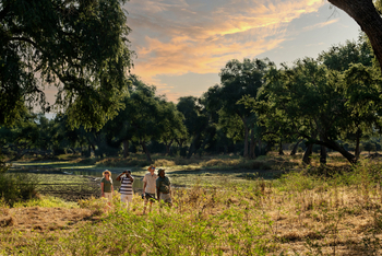 Ingwe Pan Camp: Walking Safari