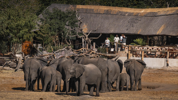 Khulu Bush Camp Khulu Bush Camp: Elefanten am Wasserloch