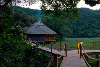 Koroi Forest Camp: Weg zum Hauptbereich