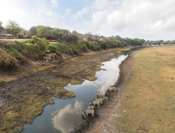 Leroo La Tau Lodge: Luftbild