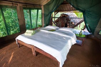 Masoala Forest Lodge: Ein Doppelbett