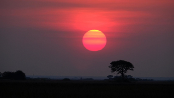 Mukambi Busanga Plains Camp: Tiefrote Sonne