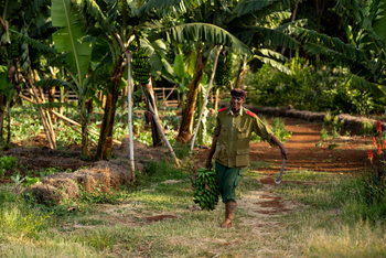 Ngorongoro Farmhouse: Mitarbeiter