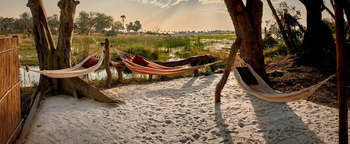 Oddball's Camp: Hängematten