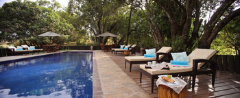 Olare Mara Kempinski: Sonnenliegen am Pool