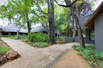 Sabi Sabi Bush Lodge: Gepflasterter Weg durch gedeckte Lodges