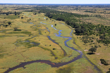 Tawana Camp: Lage des Camps