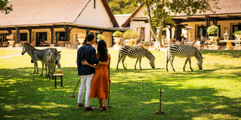 The Royal Livingstone: Croquetspiel