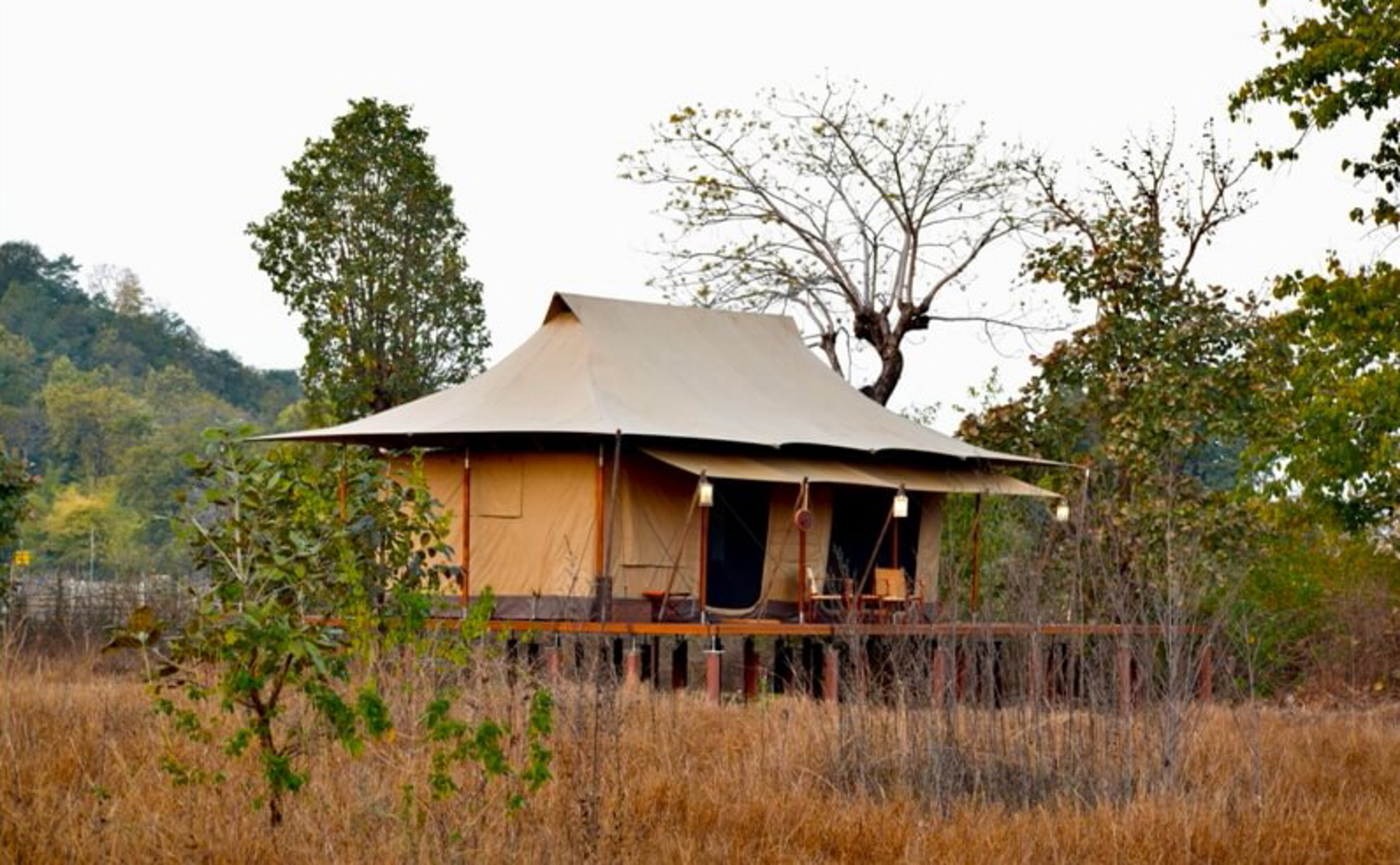 The Untamed Bandhavgarh The Untamed Bandhavgarh: Executive Suite Tent