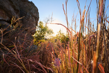 Tsodilo Hills Sleep-out: Landschaft