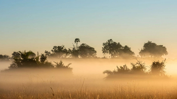 Xigera Safari Lodge Xigera Safari Lodge: Morgendunst