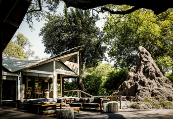 Abu Camp Abu Camp: Open-air Lounge