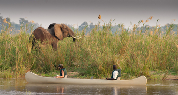Baines River Camp: Kanusafari