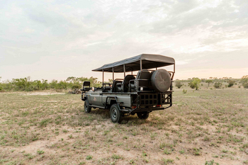 Cheetah Plains: Electric Game Drive Vehicle