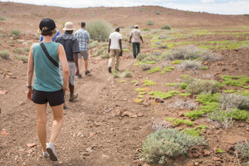 Desert Rhino Camp Desert Rhino Camp: Naturwanderung