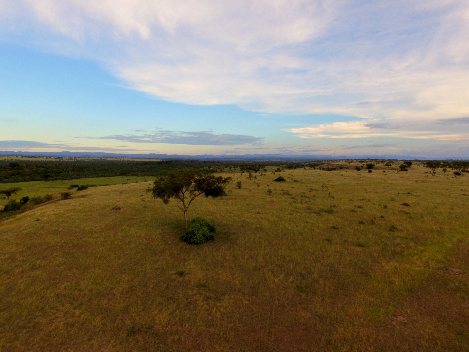 Enjojo Lodge Enjojo Lodge: Savanne im Ishasha-Sektor