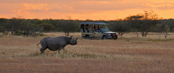 Etosha Heights Game Reserve: Tiere und Landschaft