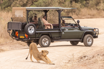 Giraffe Manor: Nairobi National Park