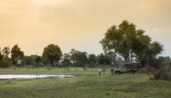 Gomoti Plains Camp: Aktivitäten