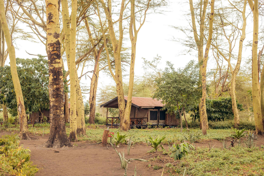 Migunga Tented Camp