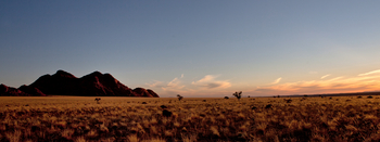 Namtib Desert Lodge: Graslandschaft