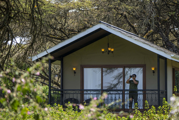 Ngorongoro Lion's Paw: Executive Suite