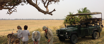 Ntemwa Busanga Bushcamp Ntemwa Busanga Bushcamp: Pause beim Game Drive