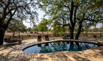 Sabi Sabi Bush Lodge: Zwei Elefanten am Poolrand Vormittags