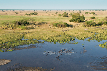 Shumba Camp Shumba Camp: Blick aus dem Heißluftballon