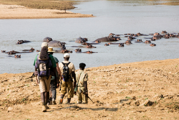Takwela Camp Takwela Camp: Walking Safari