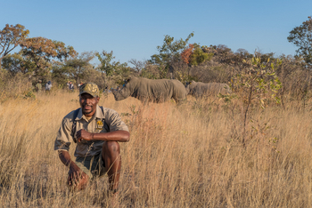 Big Cave Camp Big Cave Camp: Guide