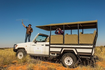 Kalahari Game Lodge: Lion Tracking