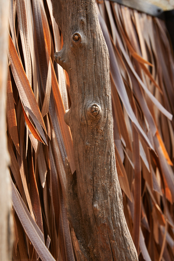 Molori Mashuma: Palmwedel-Imitat