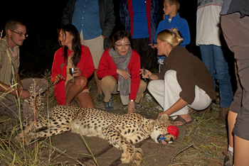 Old Traders Lodge: Aktivitäten