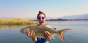 Royal Zambezi Lodge: Tigerfisch